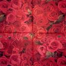 212 Rosen - 3-lagig